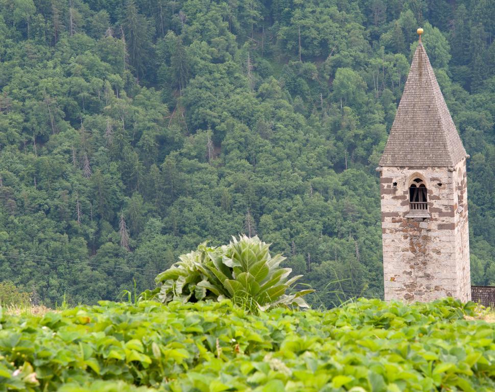 Ausservogelweiderhof Laion Eksteriør billede